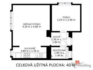 Pronájem bytu 2+kk, Brno - Staré Brno, Ypsilantiho, 39 m2