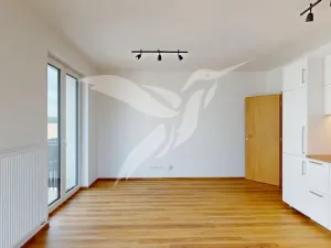 Pronájem bytu 1+kk, Dobřany, Denksteinova, 38 m2