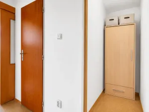 Prodej bytu 1+1, Trutnov - Střední Předměstí, Papírenská, 36 m2