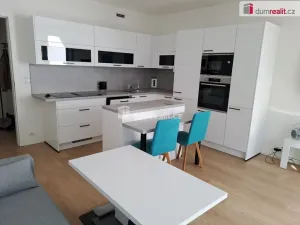 Pronájem bytu 1+kk, Praha - Nusle, Nuselská, 34 m2