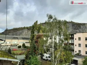 Pronájem bytu 1+1, Ústí nad Labem - Střekov, Mánesova, 25 m2
