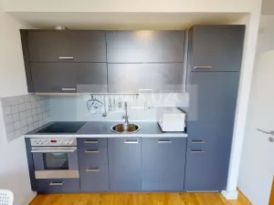Pronájem bytu 1+kk, Dobříš, U Pivovaru, 31 m2