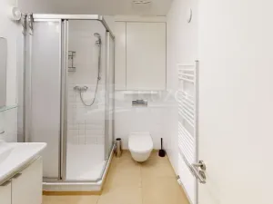Pronájem bytu 1+kk, Dobříš, U Pivovaru, 31 m2