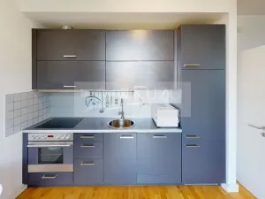 Pronájem bytu 1+kk, Dobříš, U Pivovaru, 31 m2