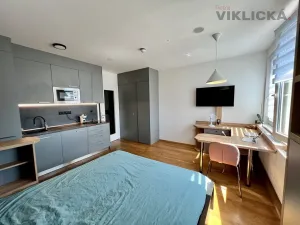 Pronájem bytu 1+kk, Praha - Vinohrady, Perucká, 27 m2
