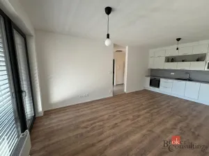 Pronájem bytu 2+kk, Plzeň - Východní Předměstí, Kartónová, 52 m2