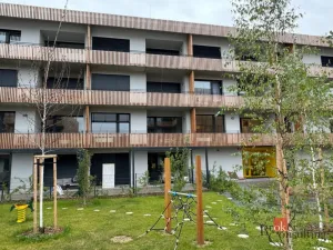 Pronájem bytu 2+kk, Plzeň - Východní Předměstí, Kartónová, 52 m2