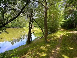 Prodej rybníku, Dačice, 25771 m2