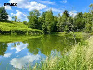 Prodej rybníku, Dačice, 25771 m2
