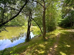Prodej rybníku, Dačice, 25771 m2