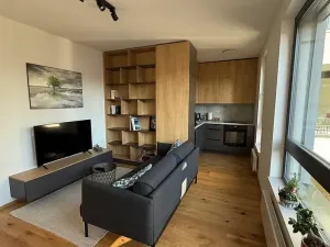 Prodej bytu 2+kk, Praha - Nusle, Muzikova, 46 m2
