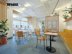 Pronájem obchodního prostoru, Plzeň, Škroupova, 210 m2