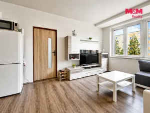 Pronájem bytu 2+kk, Plzeň - Doubravka, Masarykova, 44 m2