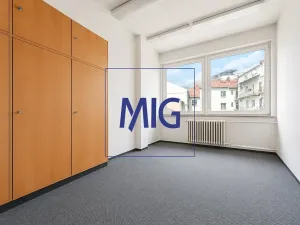 Pronájem kanceláře, Brno, Anenská, 218 m2