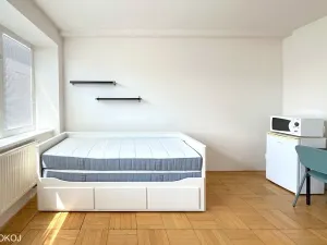 Pronájem bytu 1+kk, Brno, Mendlovo náměstí, 22 m2