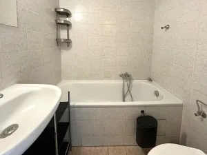Pronájem bytu 1+kk, Brno, Mendlovo náměstí, 22 m2