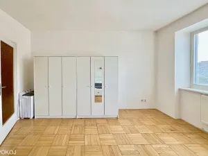 Pronájem bytu 1+kk, Brno, Mendlovo náměstí, 22 m2