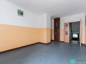 Prodej bytu 1+1, Chomutov, Písečná, 36 m2