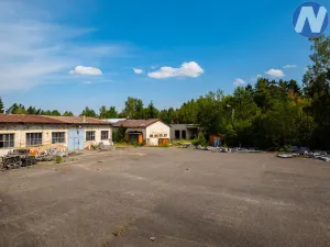 Prodej výrobních prostor, Kostelec nad Vltavou - Přílepov, 37068 m2