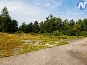 Prodej výrobních prostor, Kostelec nad Vltavou - Přílepov, 37068 m2