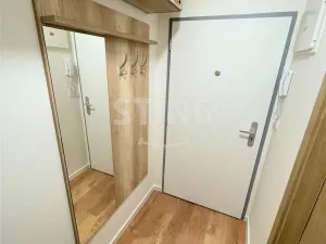 Pronájem bytu 1+kk, Ostrava, Hasičská, 34 m2