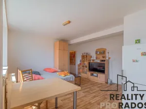 Prodej bytu 1+kk, Znojmo, U Lesíka, 33 m2