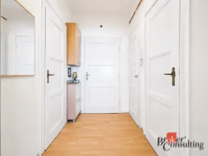 Prodej bytu 2+kk, Praha - Žižkov, Hartigova, 47 m2