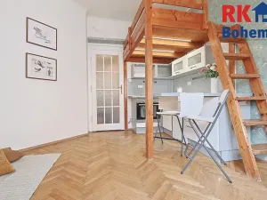 Prodej bytu 1+kk, Praha - Holešovice, U smaltovny, 22 m2