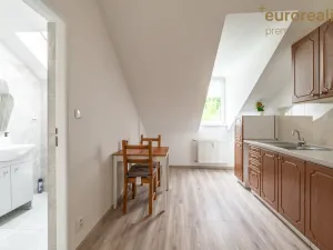 Prodej atypického bytu, Karlovy Vary, T. G. Masaryka, 194 m2