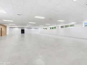Pronájem obchodního prostoru, Opava, Rybářská, 160 m2