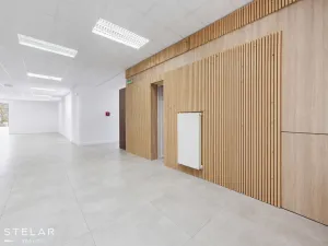 Pronájem obchodního prostoru, Opava, Rybářská, 160 m2