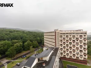 Prodej bytu 1+kk, Litvínov - Horní Litvínov, Koldům, 25 m2