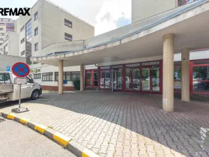 Prodej bytu 1+kk, Litvínov - Horní Litvínov, Koldům, 25 m2
