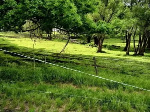 Prodej rodinného domu, Útvina - Svinov, 300 m2