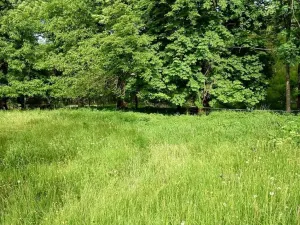 Prodej rodinného domu, Útvina - Svinov, 300 m2