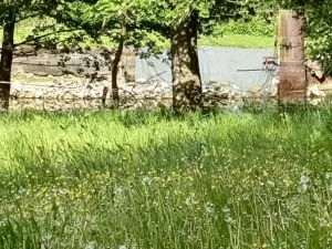 Prodej rodinného domu, Útvina - Svinov, 300 m2