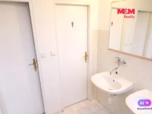 Pronájem obchodního prostoru, Ostrava - Mariánské Hory, Karasova, 335 m2
