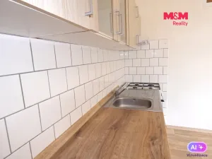 Pronájem bytu 1+1, Ostrava - Moravská Ostrava, Repinova, 40 m2