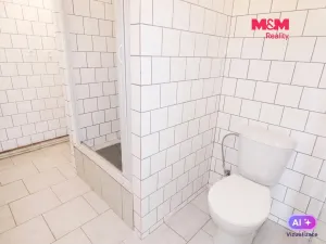 Pronájem bytu 1+1, Ostrava - Moravská Ostrava, Repinova, 40 m2