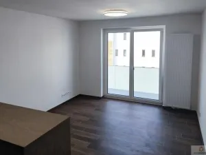 Pronájem bytu 1+kk, Olomouc - Nová Ulice, Třída Jiřího Pelikána, 33 m2