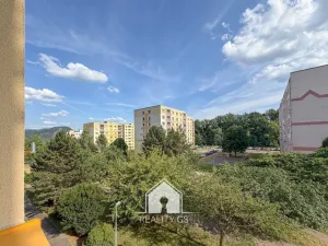 Prodej bytu 1+1, Ústí nad Labem, Peškova, 35 m2