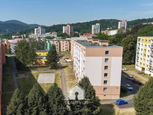 Prodej bytu 1+1, Ústí nad Labem, Mlýnská, 35 m2