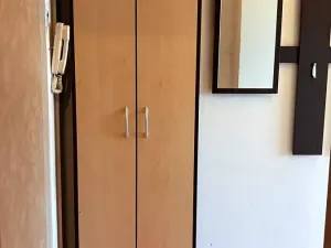 Pronájem bytu 1+1, Chrudim, Palackého třída, 38 m2