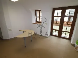Pronájem výrobních prostor, České Budějovice - České Budějovice 6, Žižkova tř., 65 m2