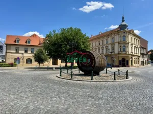 Prodej rodinného domu, Žatec, náměstí Kruhové, 497 m2