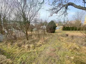 Dražba louky, Lužnice, 608 m2