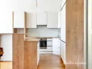 Pronájem bytu 3+kk, Praha - Nové Město, Na Moráni, 94 m2