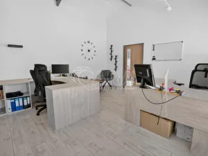 Prodej výrobních prostor, Brno - Medlánky, Turistická, 585 m2