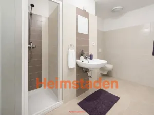 Pronájem bytu 1+kk, Karviná - Nové Město, Závodní, 29 m2
