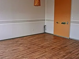 Pronájem bytu 2+kk, Olomouc - Nová Ulice, 60 m2